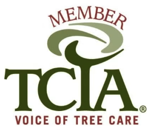 Screenshot 2026-02-17 at 6.00.46 PM